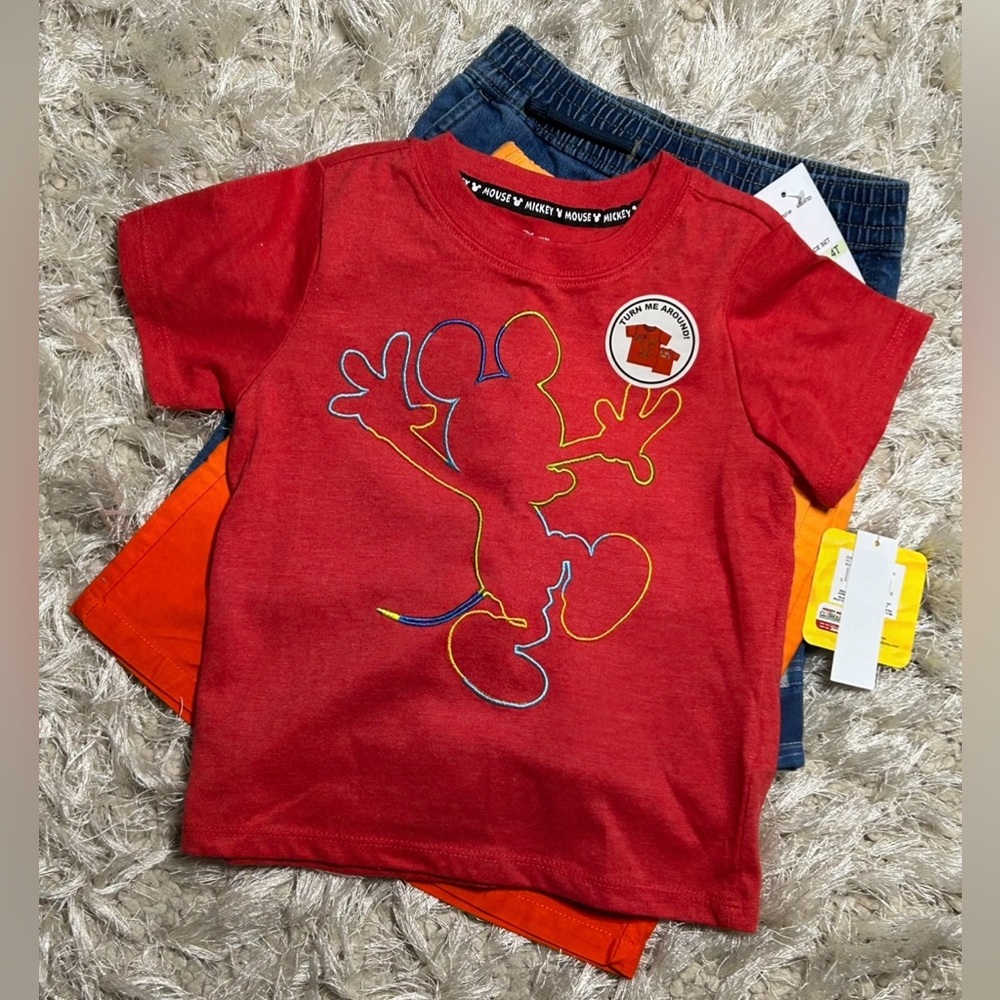 Garanimals shorts and a toddler shirt. Size 4T